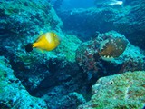 Pousada em Fernando de Noronha